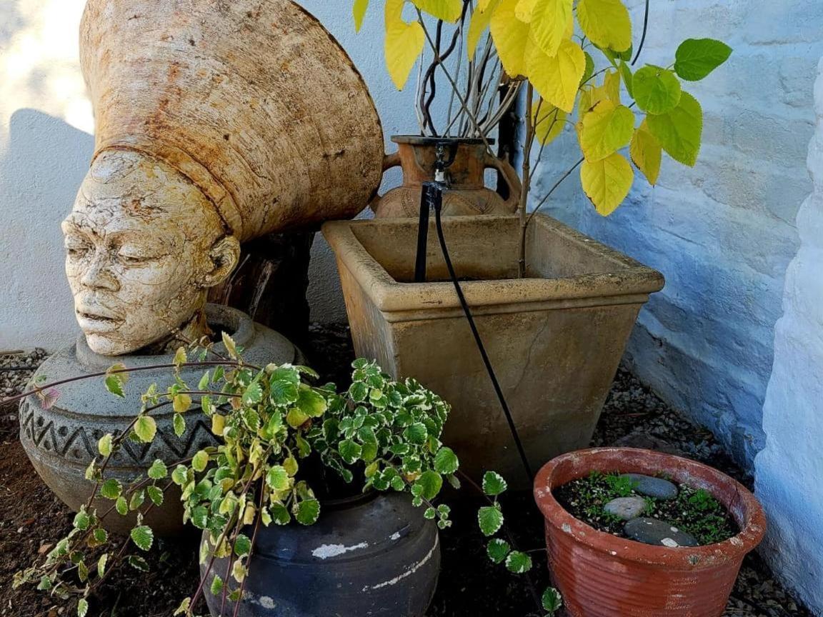 Acacia Home Graaff-Reinet 外观 照片